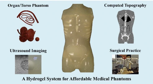 Graphical abstract: a hydrogel torso phantom with independently tuned mechanical, CT, and ultrasound contrasts for affordable medical phantoms